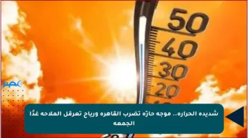 شديدة الحرارة.. موجة حارّة تضرب القاهرة ورياح تعرقل الملاحة غدًا الجمعة